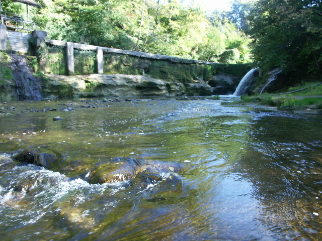 KönigsWuhr7.JPG