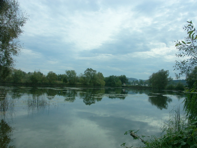 Chasparäcker55.jpg