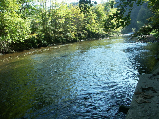 Aumühle3.JPG