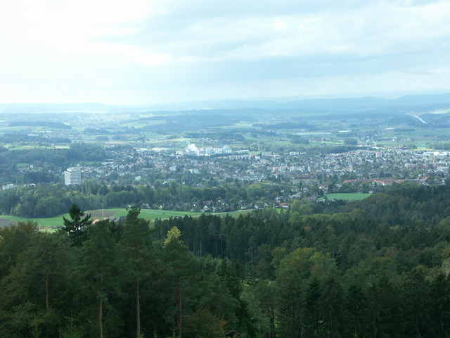 Stählibuck7.JPG