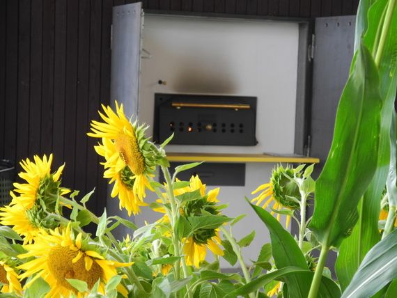 Der Brotbackofen mit Sonnenblumen im Vordergrund.