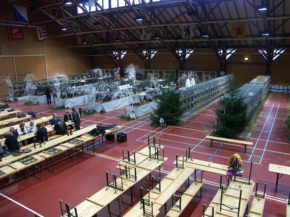Der Innenbereich der Festhalle Rüegerholz vom Balkon runter fotografiert. Am Rand stehen Festbankgarnituren und im Hintergrund stehen Käfige für eine Tierausstellung.